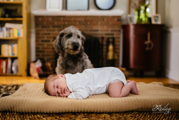 newborn-photography-24
